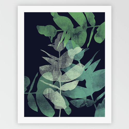 Eucalyptus