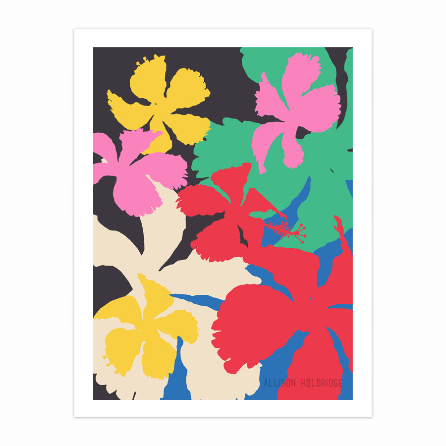Hibiscus Colorblock